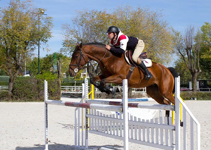 Cours et stages